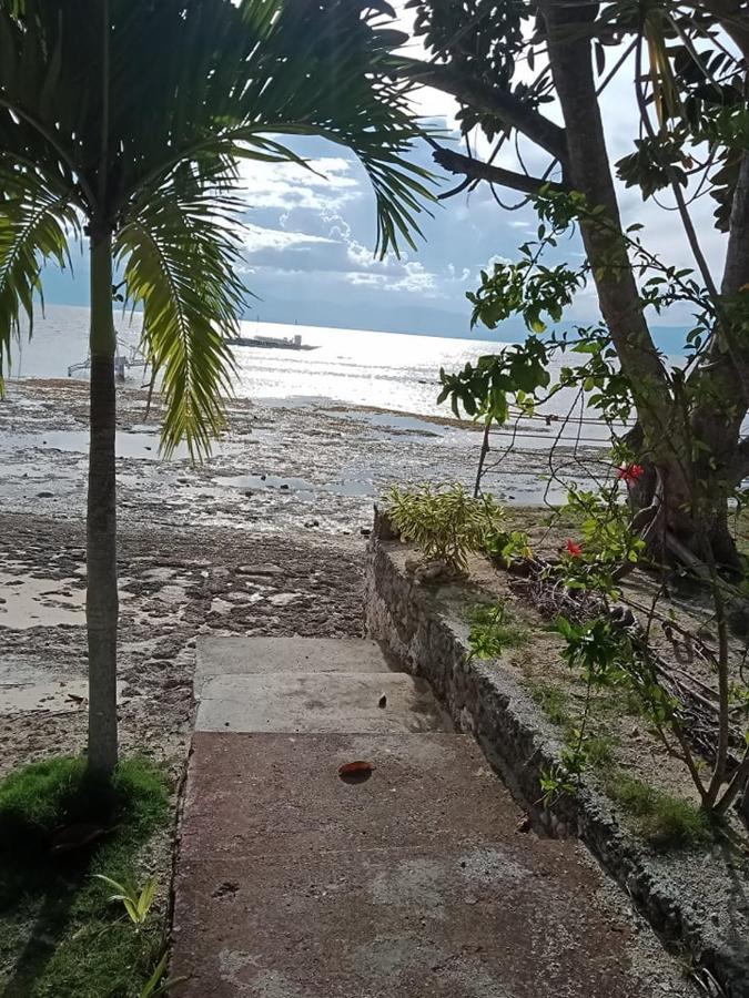 Bonita Oasis Beach Resort Moalboal Exterior foto