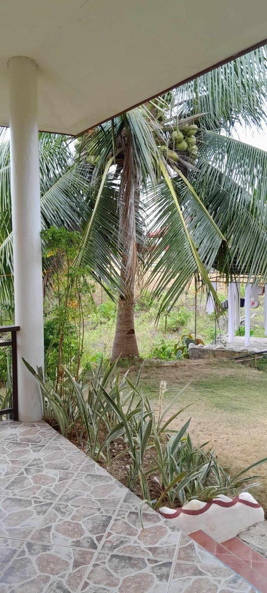 Bonita Oasis Beach Resort Moalboal Exterior foto