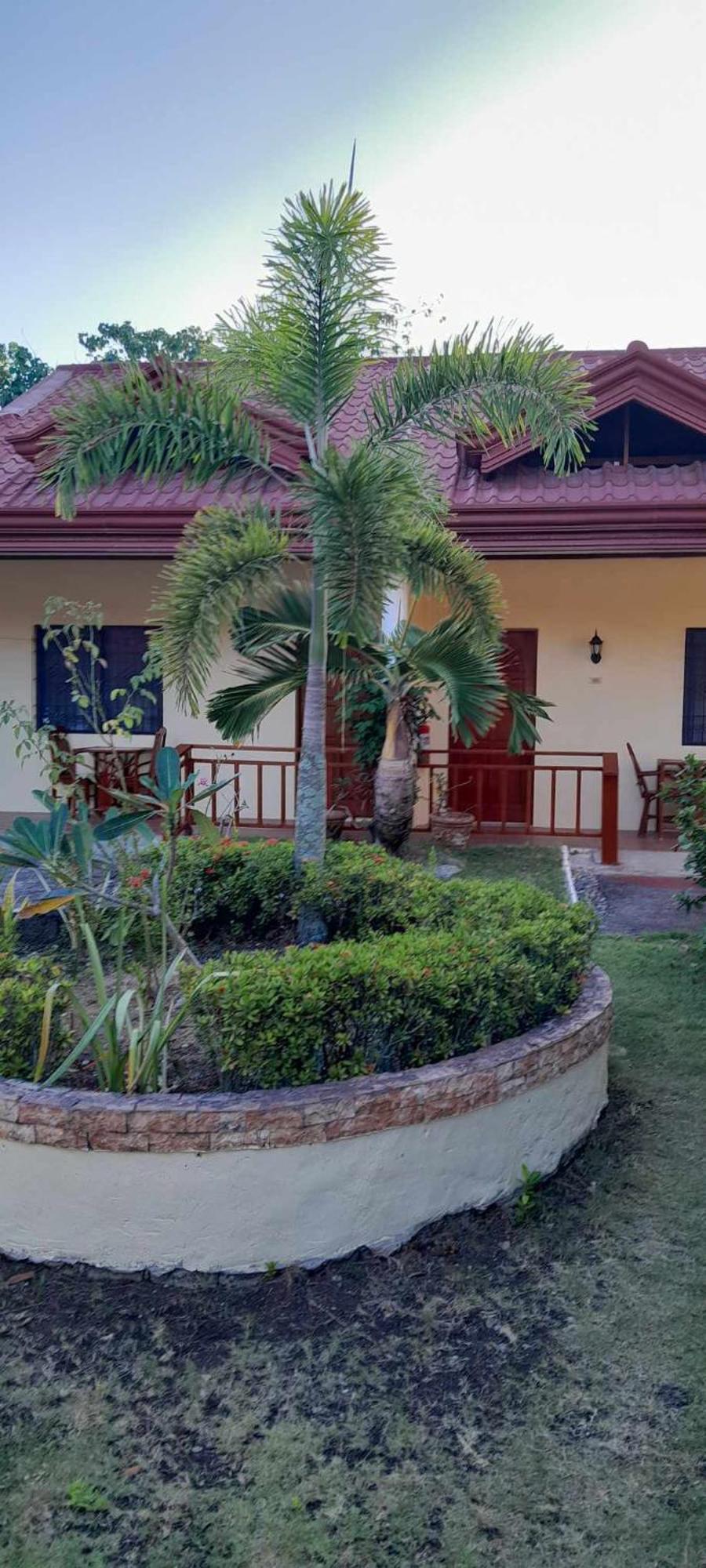Bonita Oasis Beach Resort Moalboal Exterior foto
